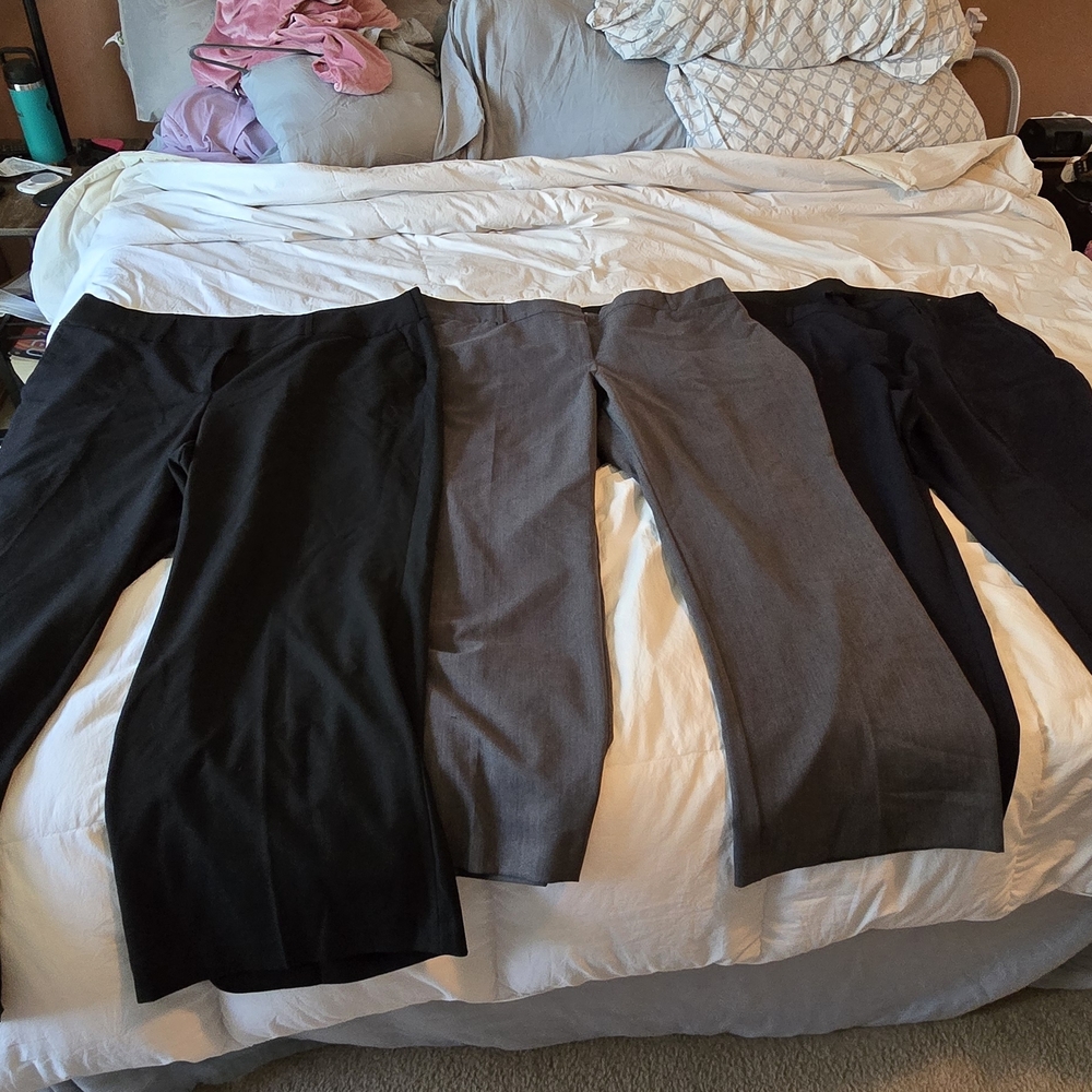 Lane Bryant Black Trousers